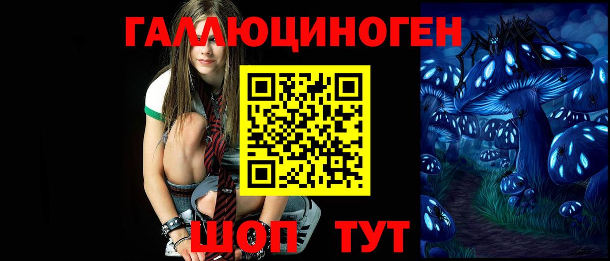 Ессентуки  Псилоцибиновые грибы GOLDEN TEACHER  Вход с VPN 