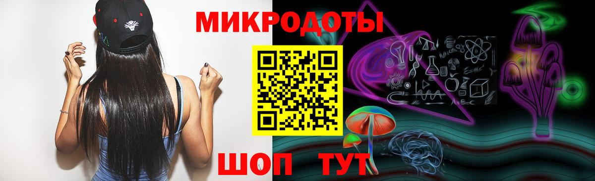 Галлюциногенные грибы Psilocybine cubensis Ессентуки